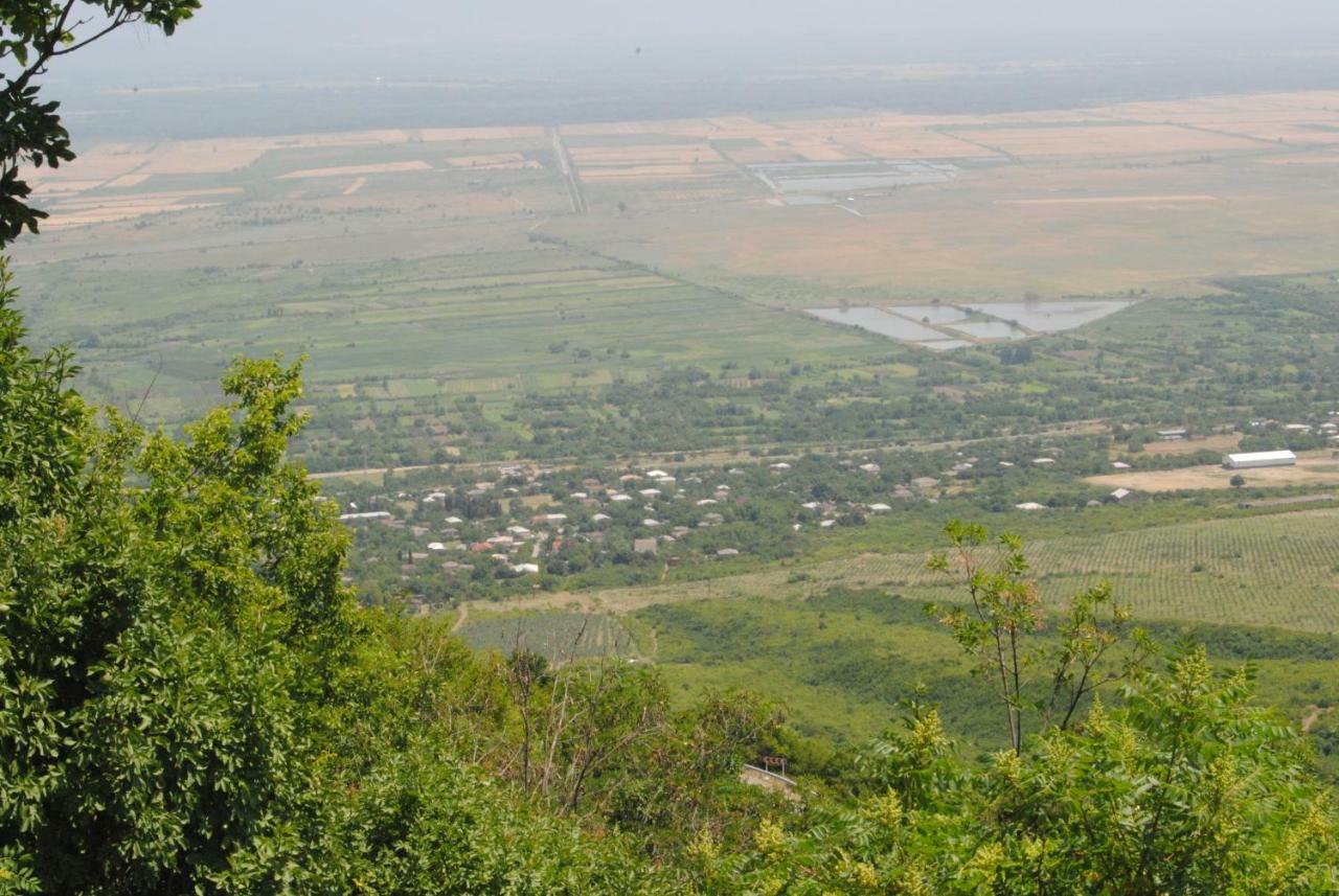 Tsanava'S Cottage In Siğnaği Dış mekan fotoğraf
